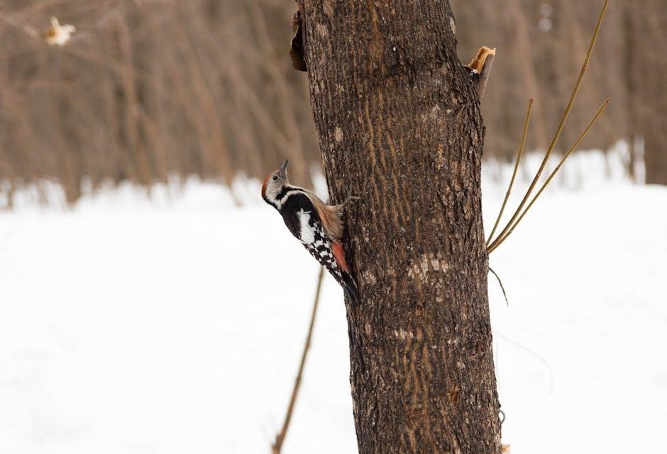 Miniature Dachshund Feeding Guide Tips & Schedule